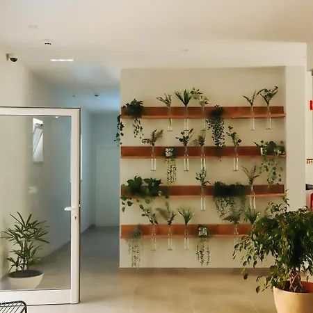 Хостел Ptm Downtown Hostel&suites *